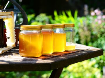 Miele da apicoltura biologica
